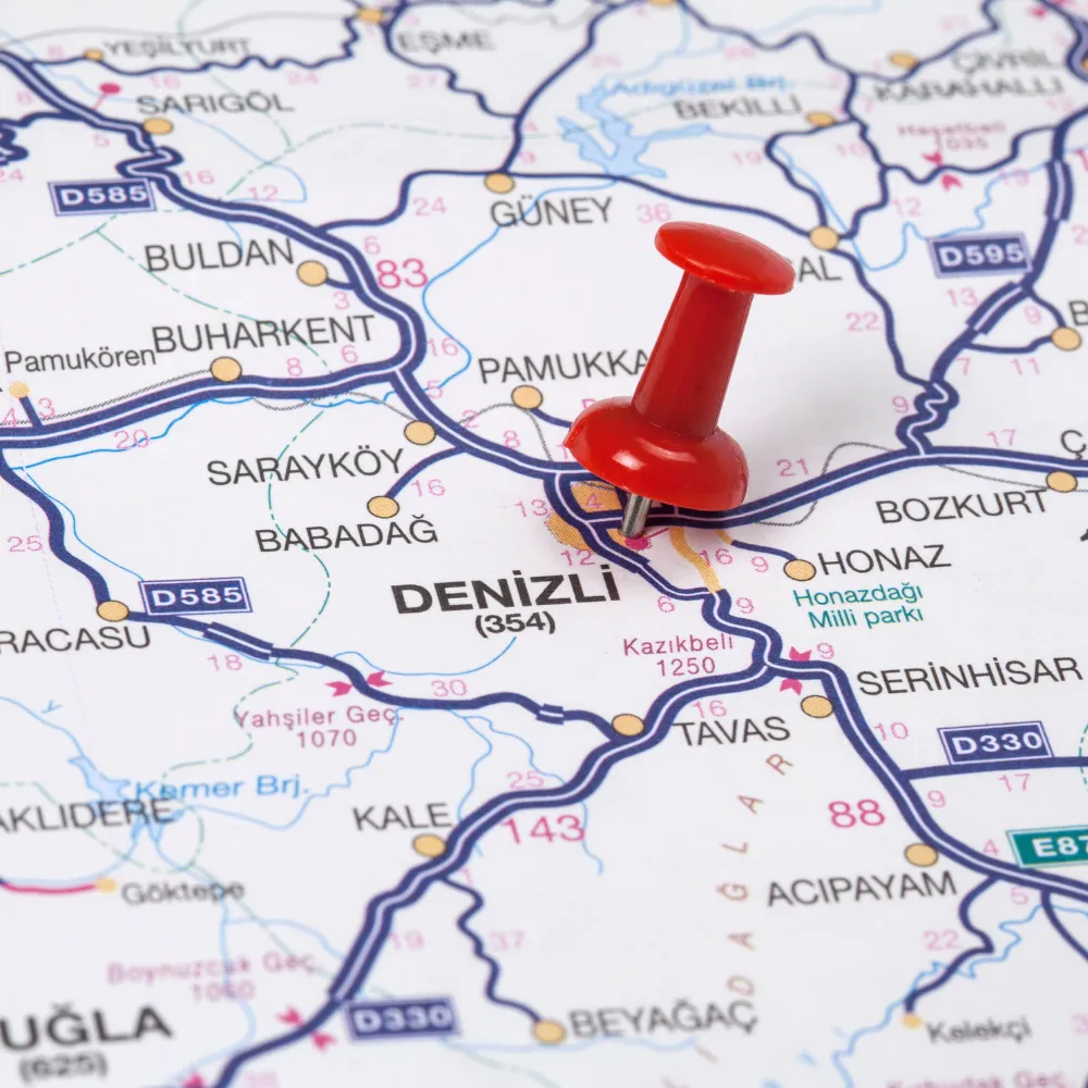 The Importance and Strategies of Digital Marketing in Denizli